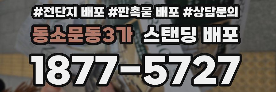 동소문동3가 스탠딩 배포
