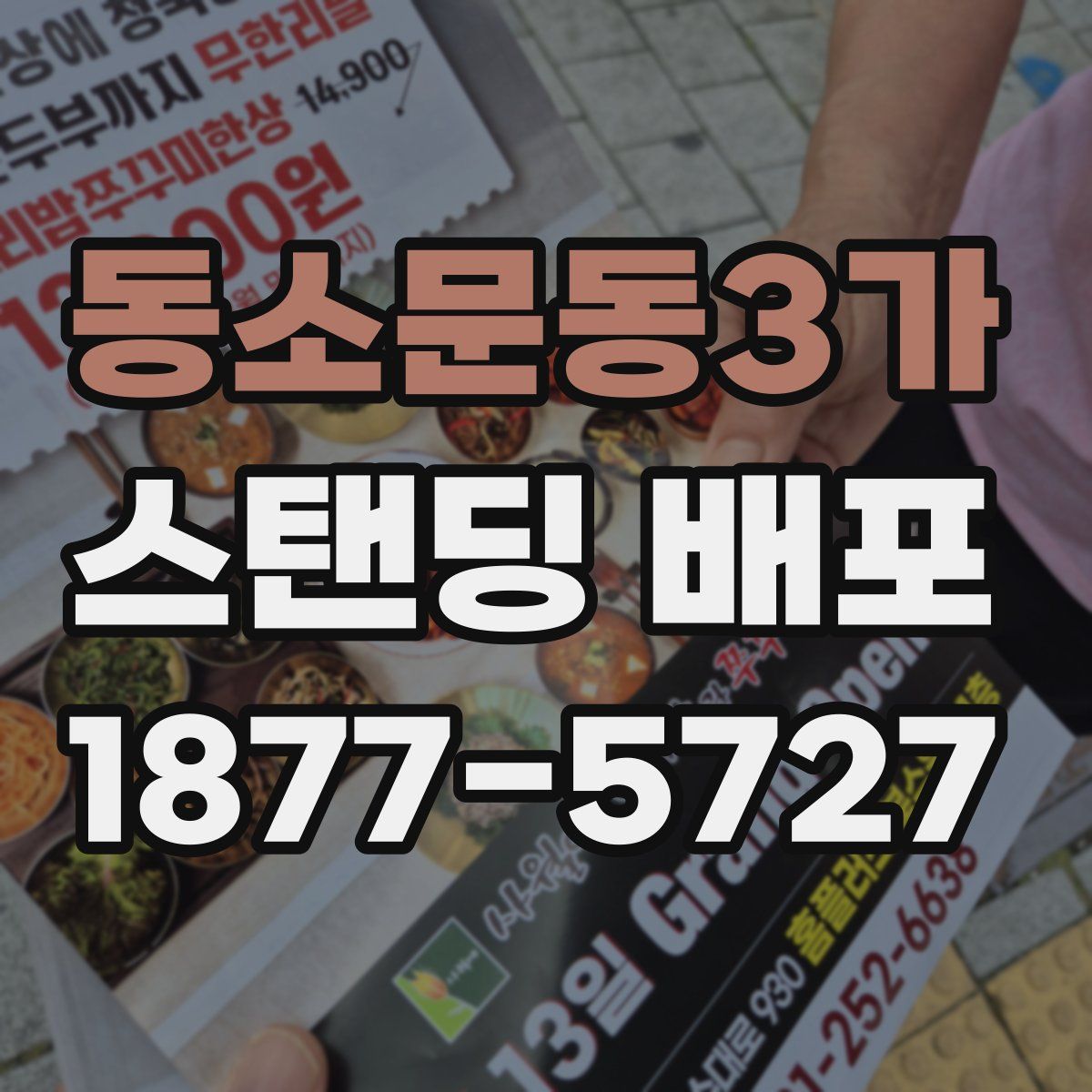 동소문동3가 스탠딩 배포