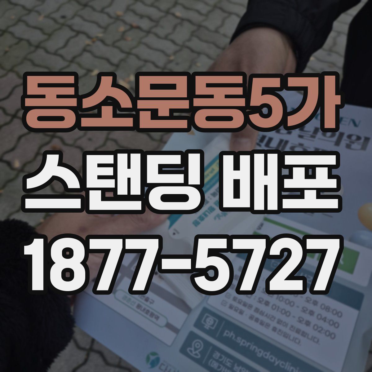 동소문동5가 스탠딩 배포