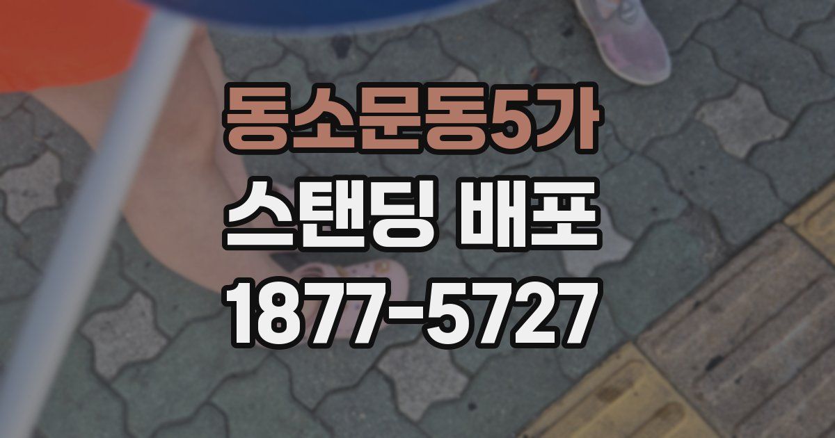 동소문동5가 스탠딩 배포