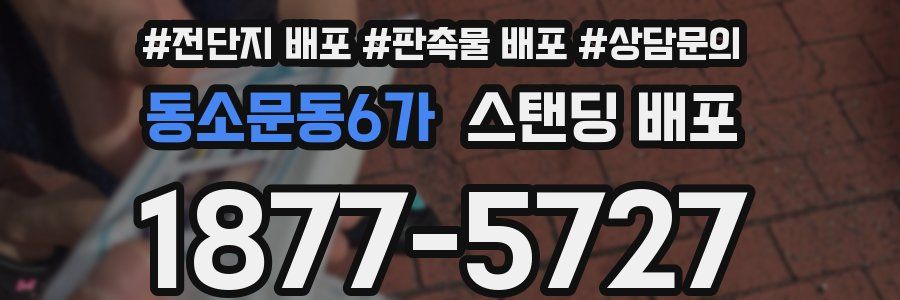 동소문동6가 스탠딩 배포