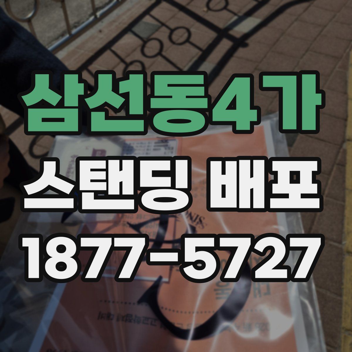 삼선동4가 스탠딩 배포