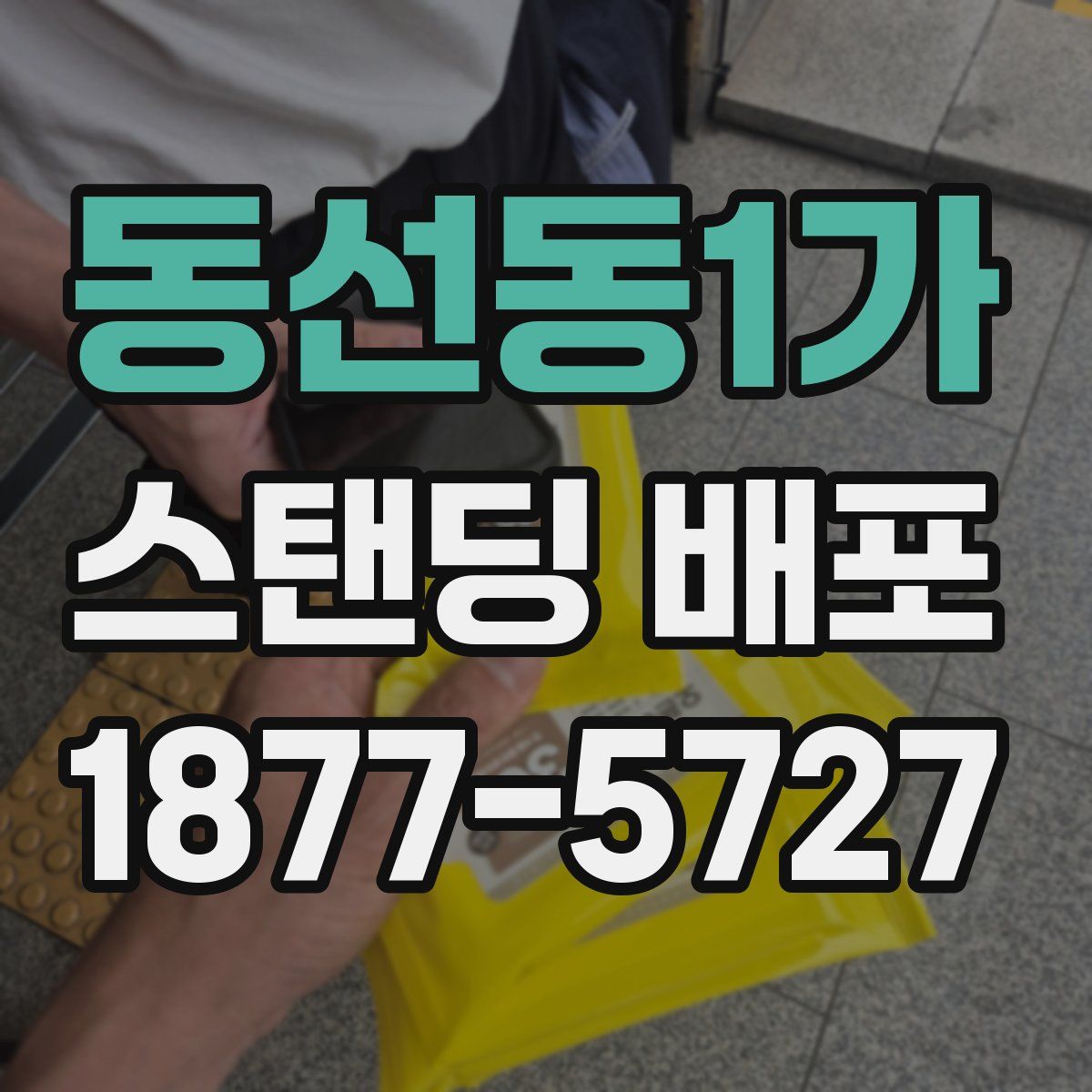 동선동1가 스탠딩 배포
