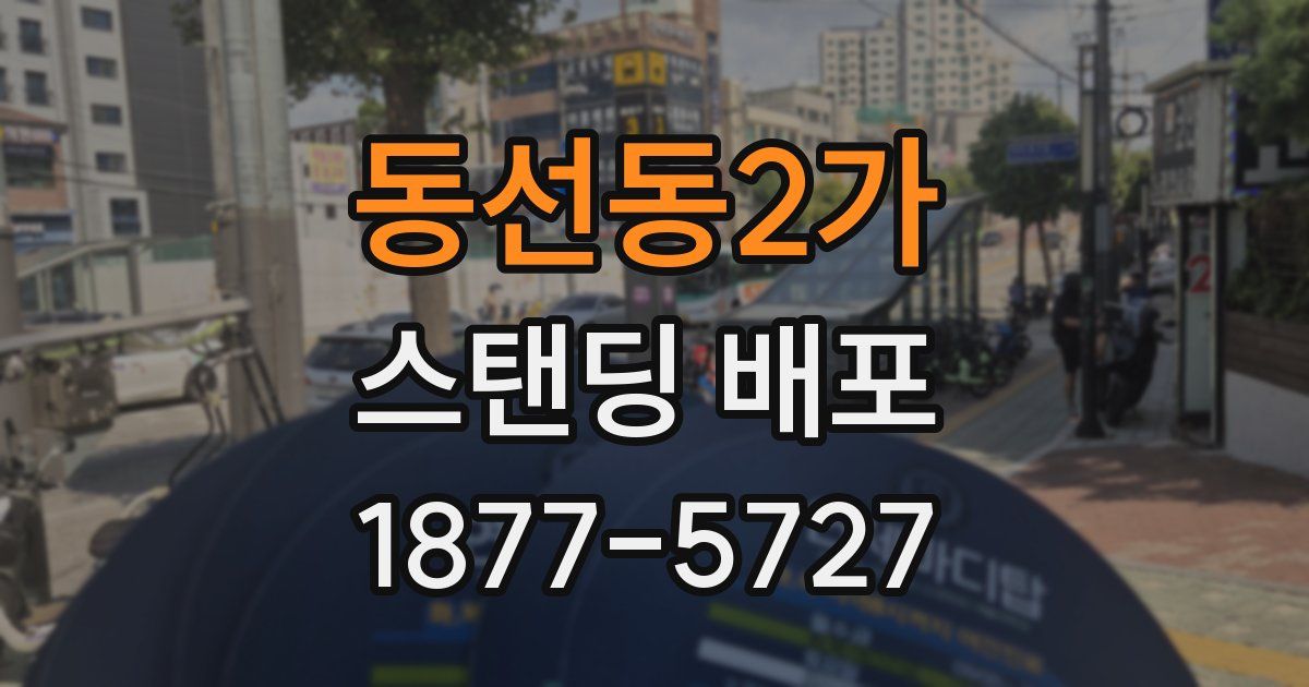 동선동2가 스탠딩 배포