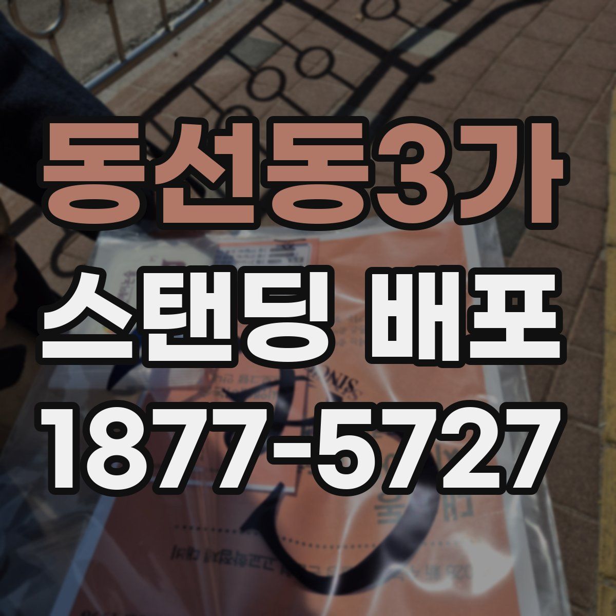 동선동3가 스탠딩 배포