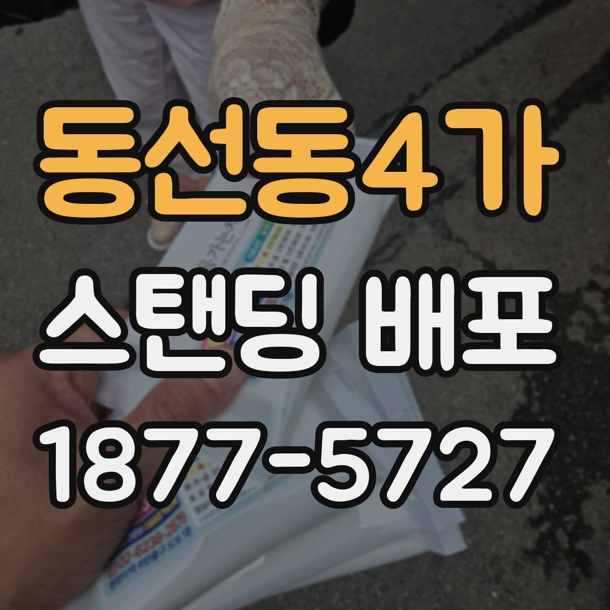 동선동4가 스탠딩 배포