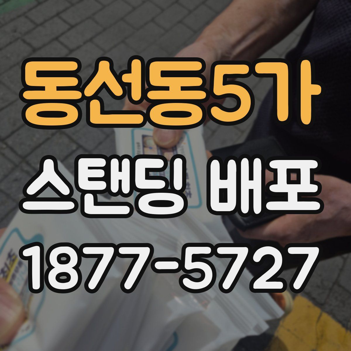 동선동5가 스탠딩 배포