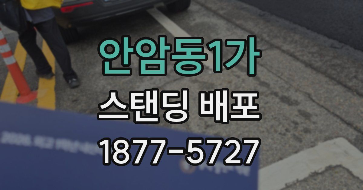 안암동1가 스탠딩 배포