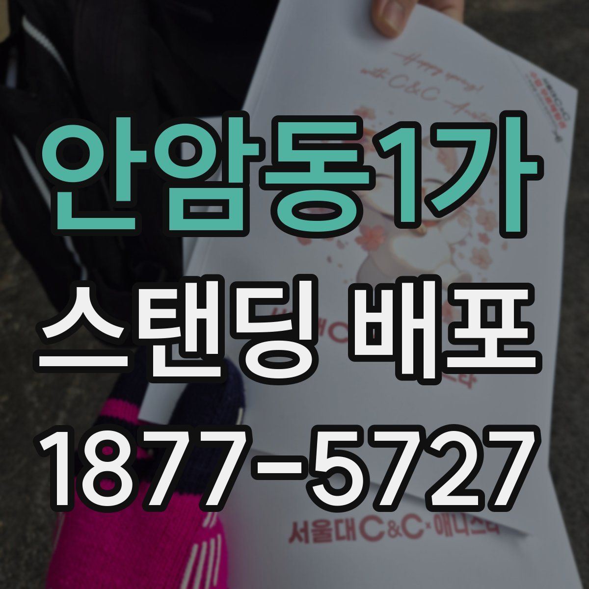 안암동1가 스탠딩 배포