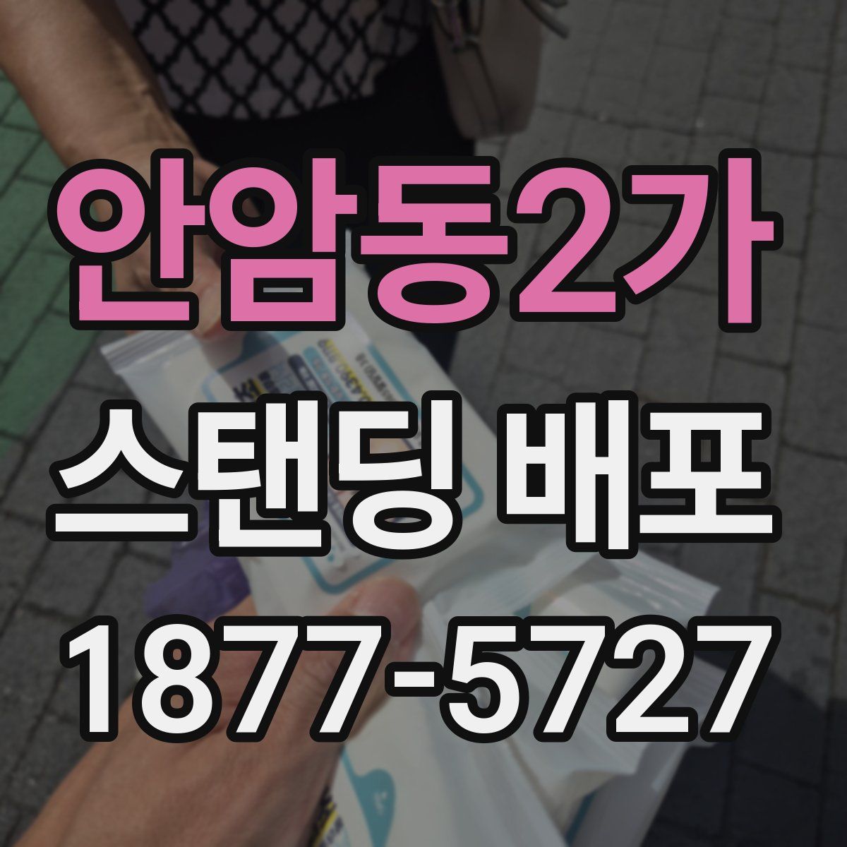 안암동2가 스탠딩 배포