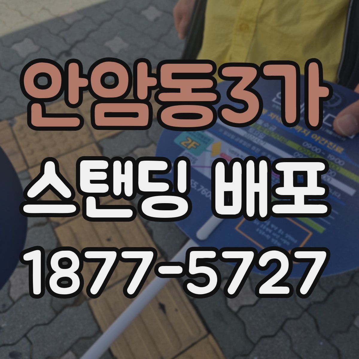 안암동3가 스탠딩 배포