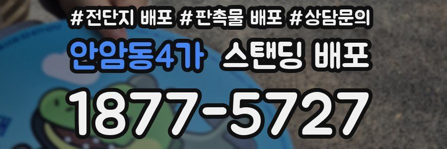 안암동4가 스탠딩 배포