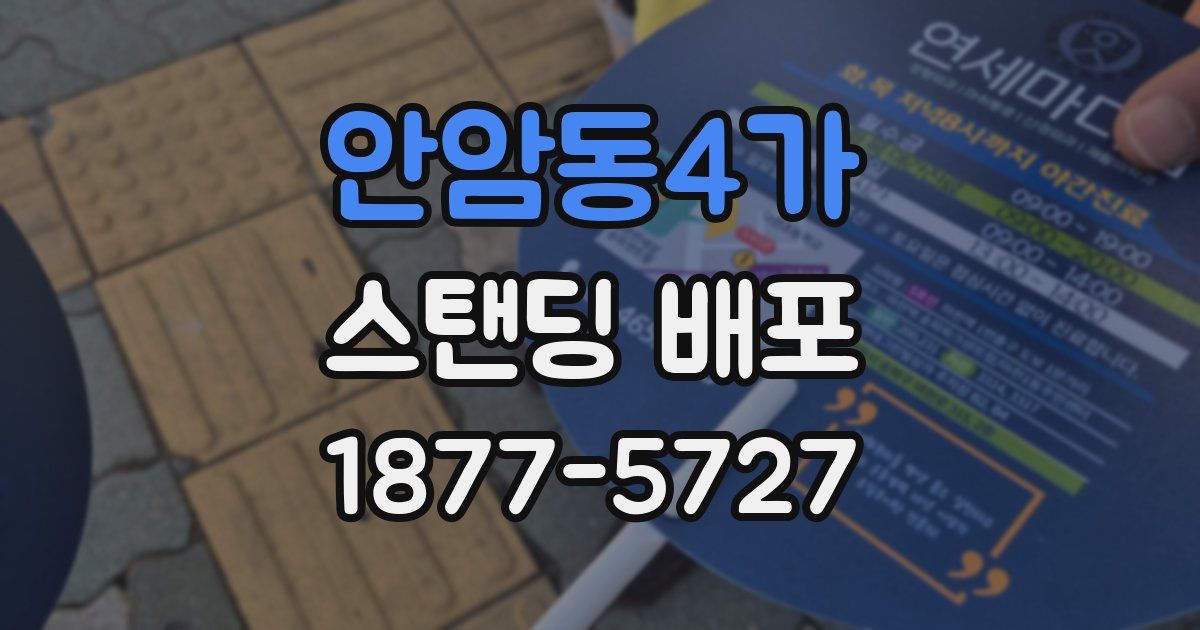 안암동4가 스탠딩 배포
