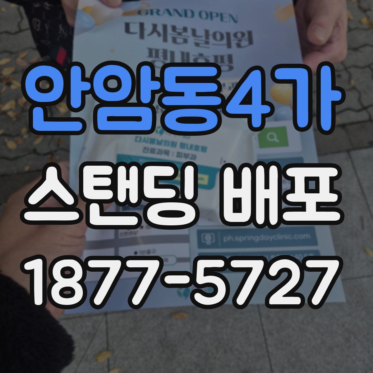 안암동4가 스탠딩 배포