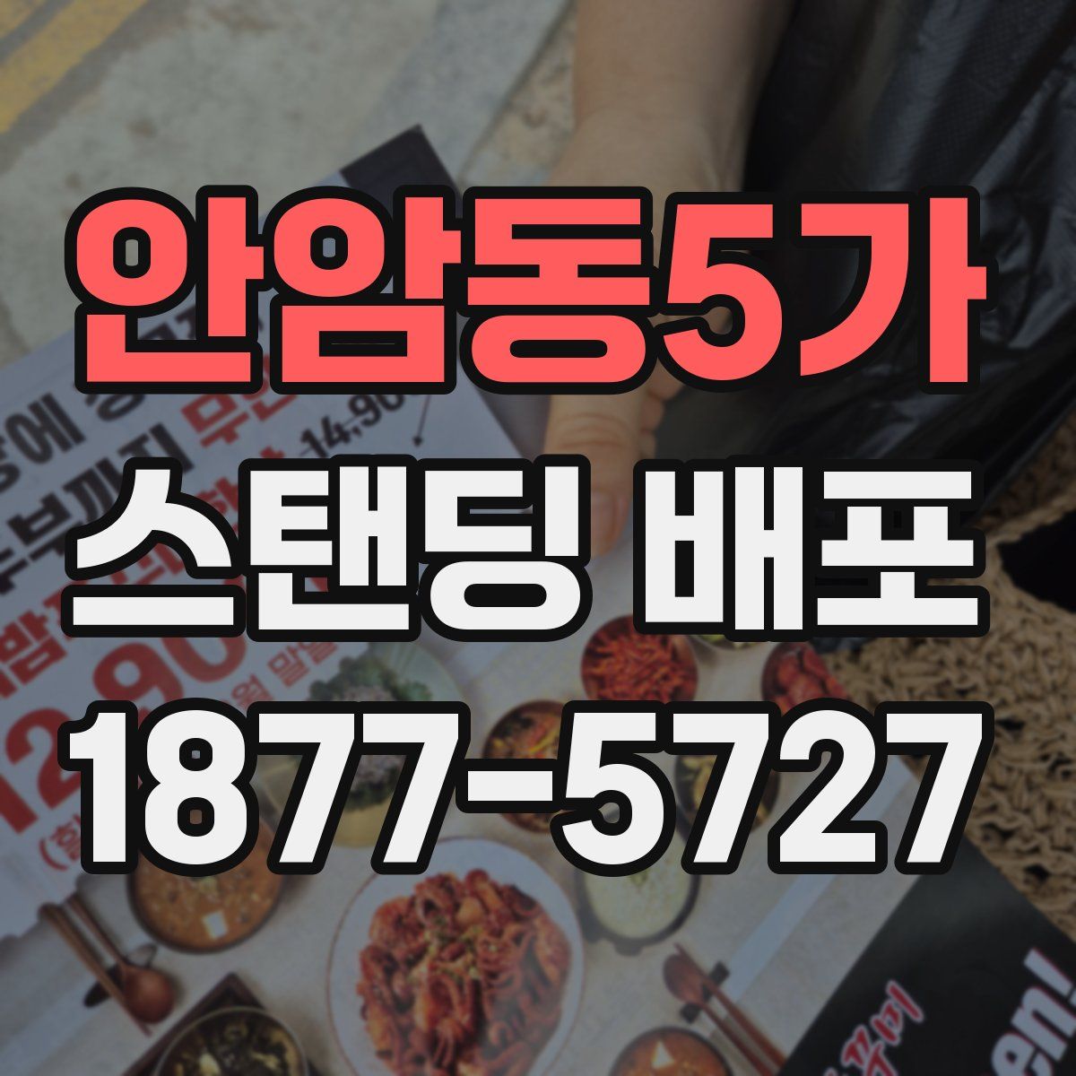 안암동5가 스탠딩 배포