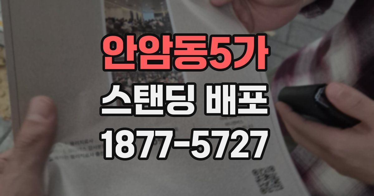 안암동5가 스탠딩 배포