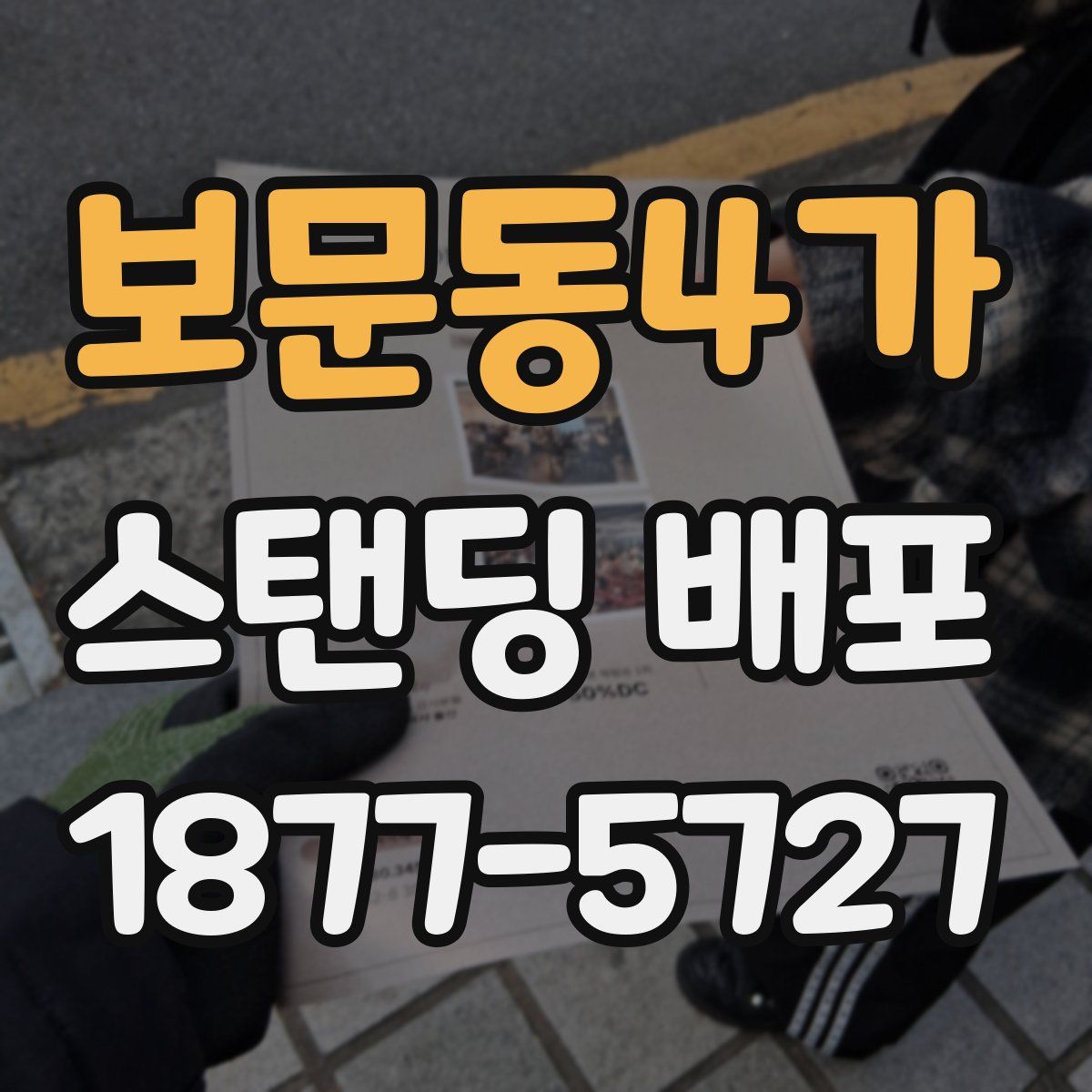 보문동4가 스탠딩 배포