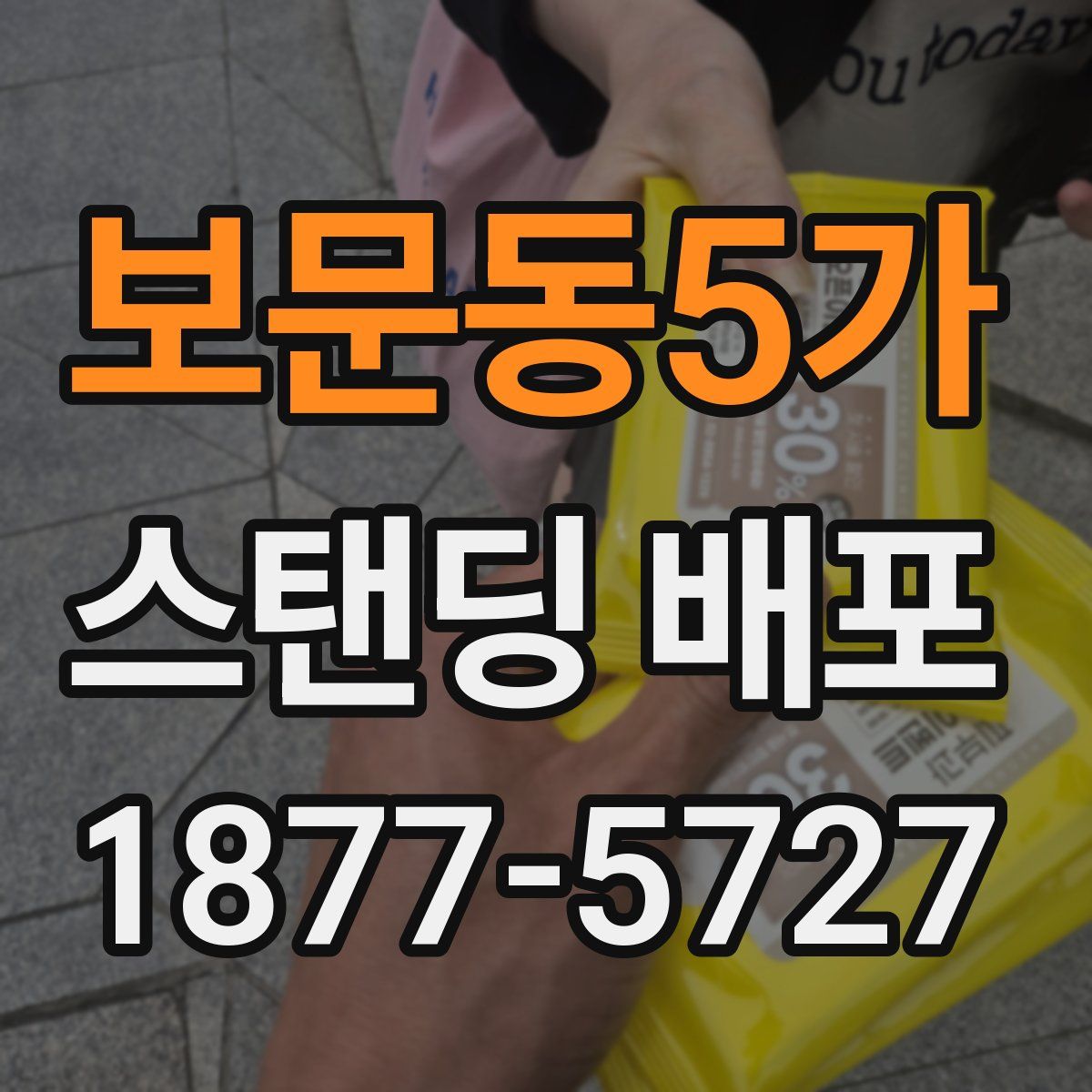 보문동5가 스탠딩 배포