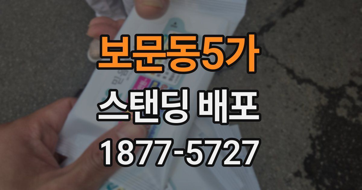 보문동5가 스탠딩 배포