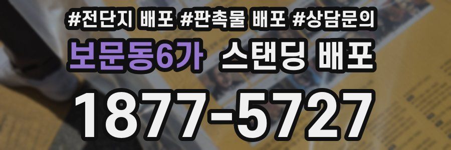 보문동6가 스탠딩 배포