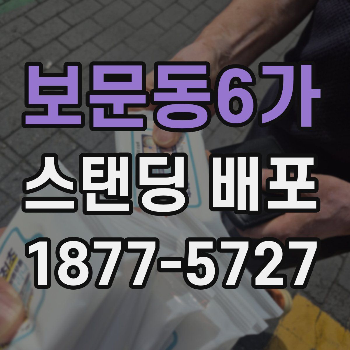 보문동6가 스탠딩 배포