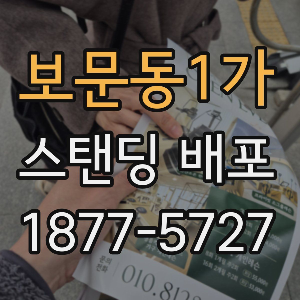 보문동1가 스탠딩 배포