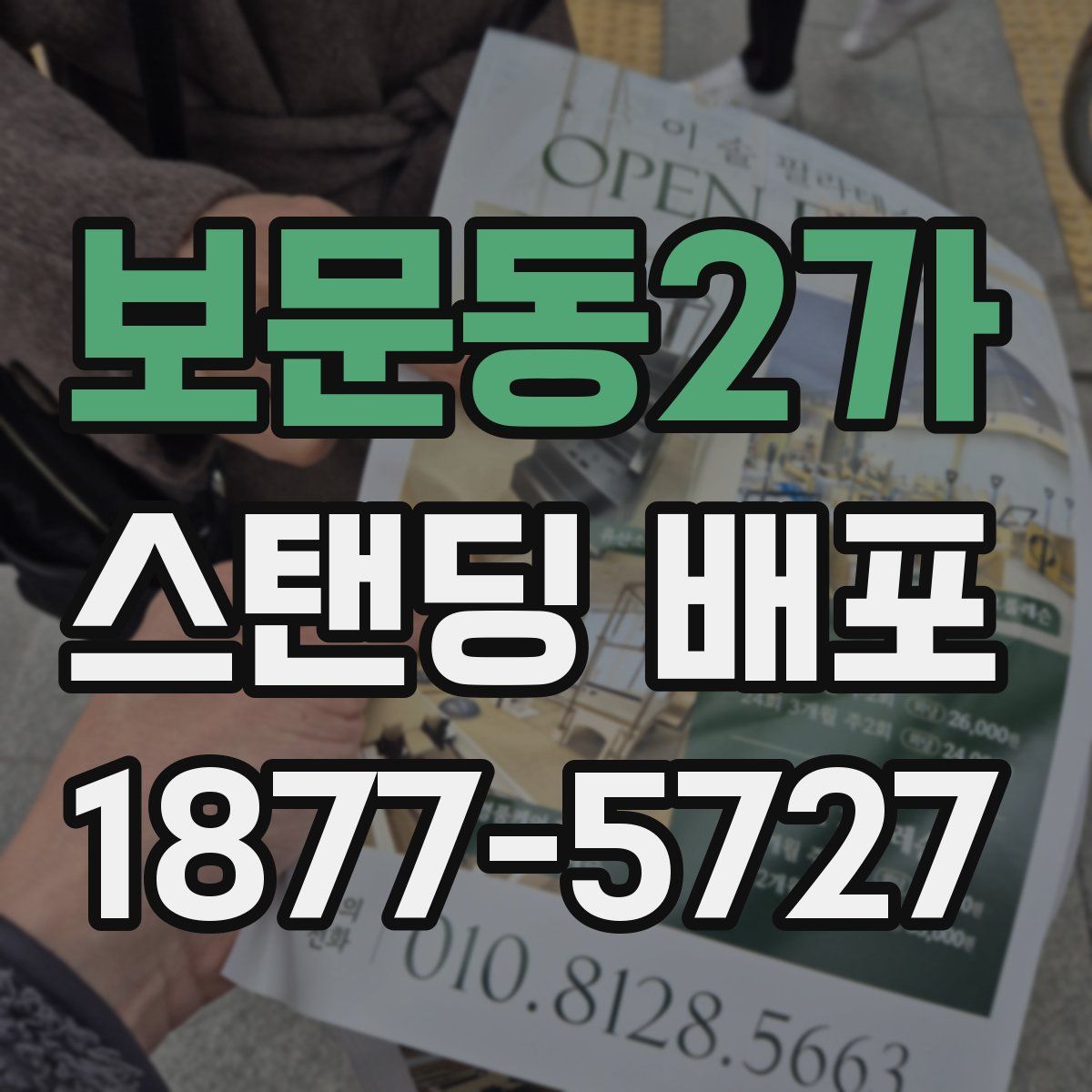 보문동2가 스탠딩 배포