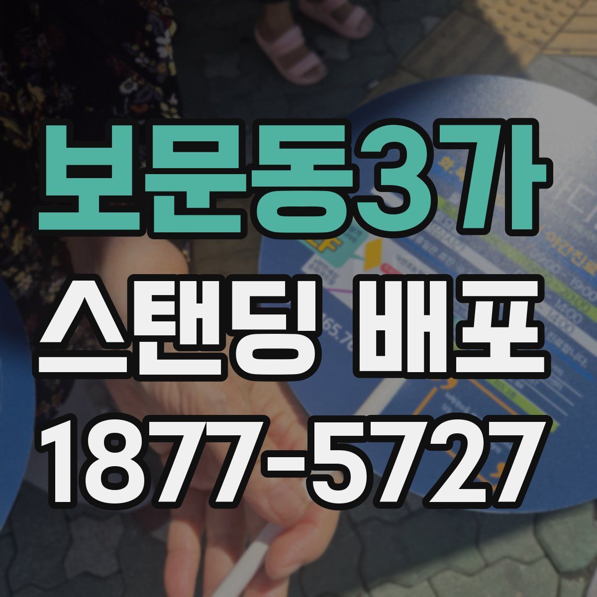 보문동3가 스탠딩 배포