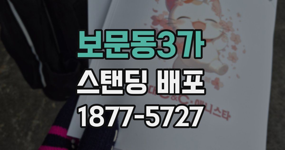 보문동3가 스탠딩 배포
