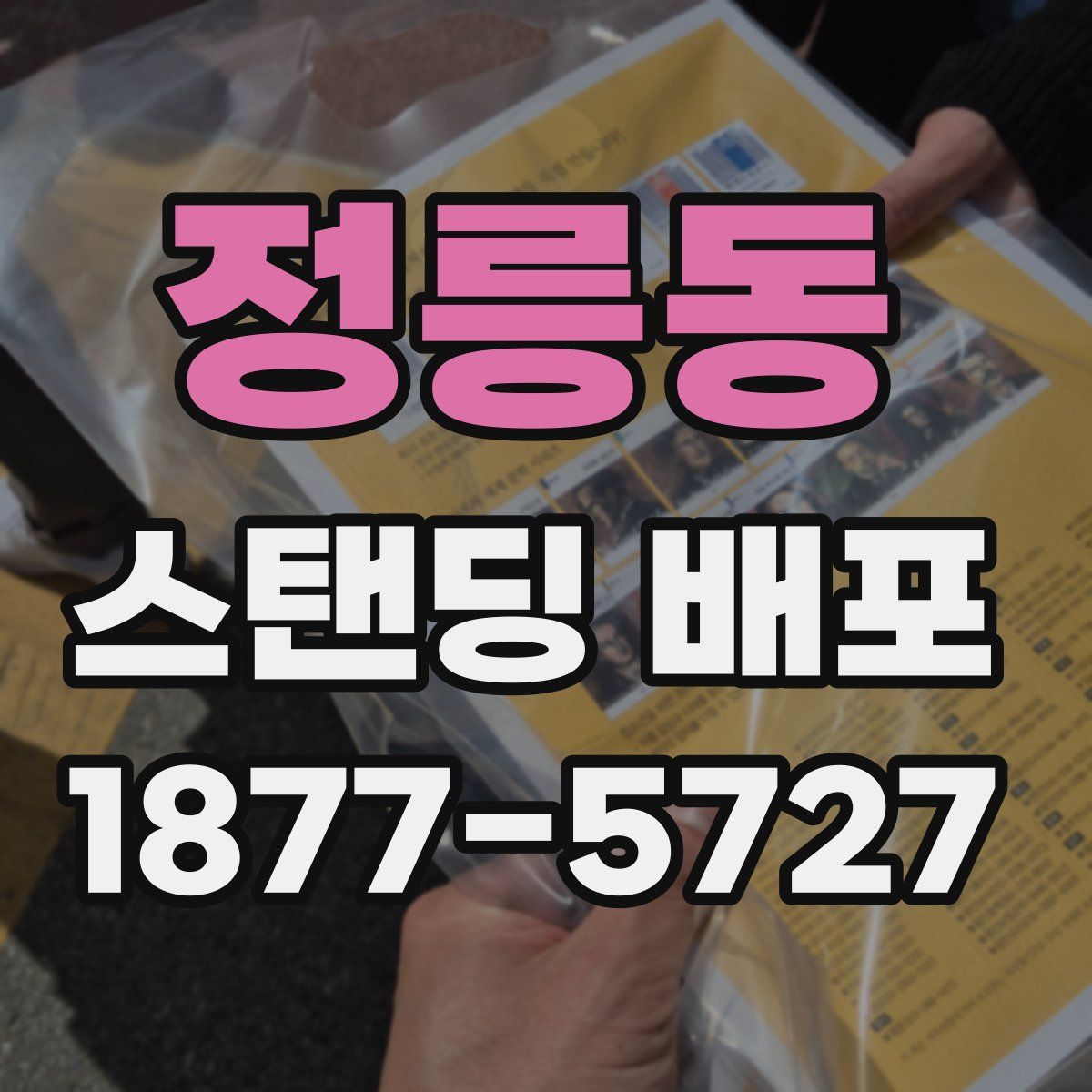 정릉동 스탠딩 배포