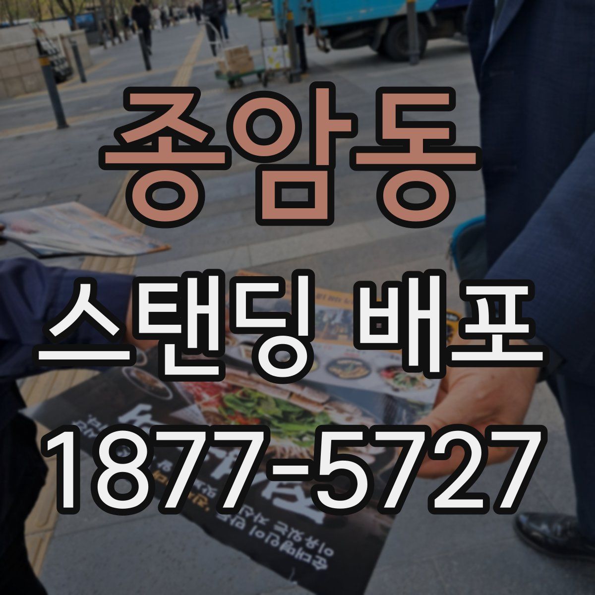 종암동 스탠딩 배포