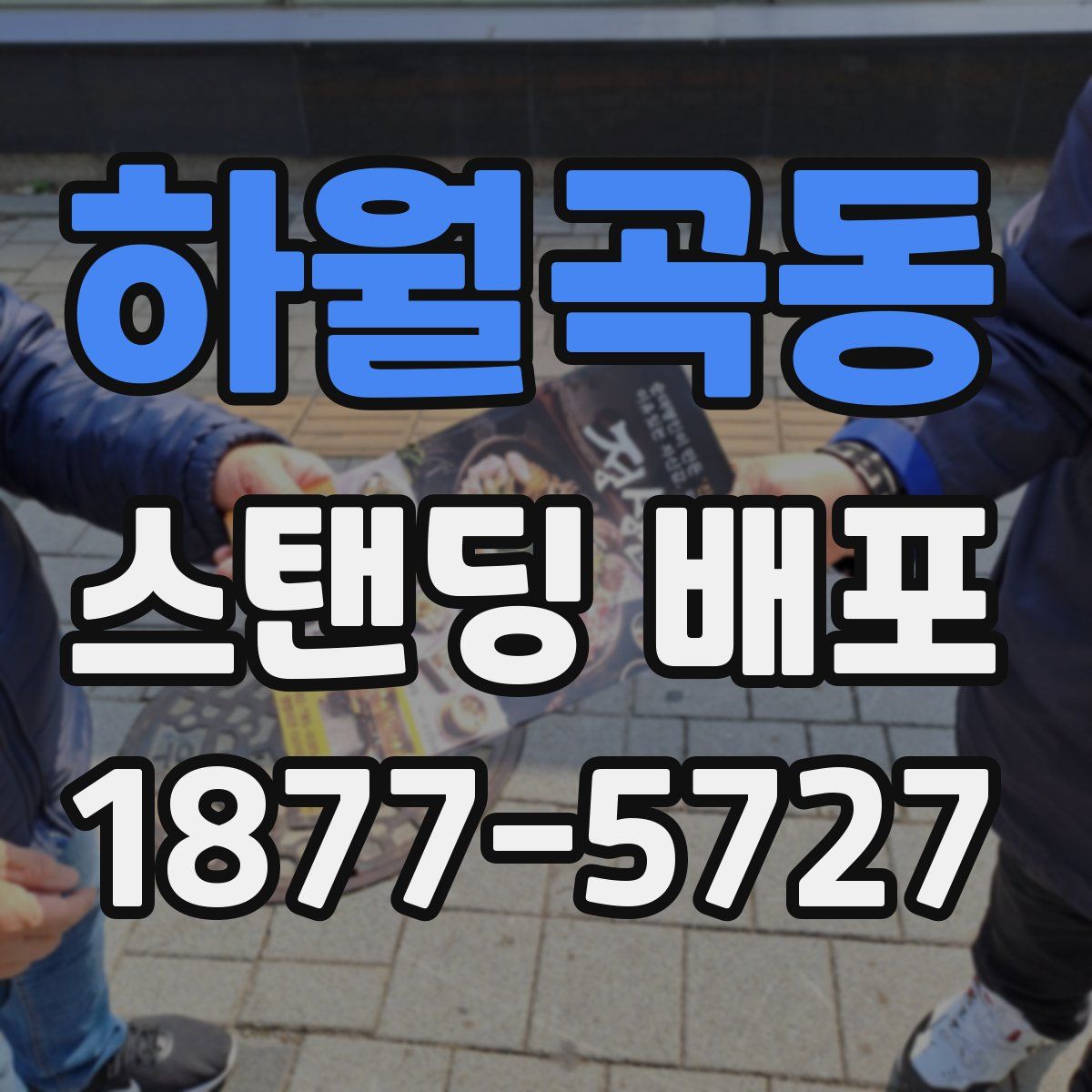 하월곡동 스탠딩 배포