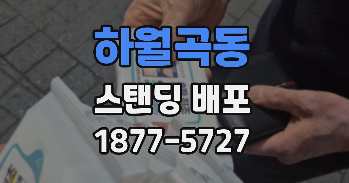 하월곡동 스탠딩 배포