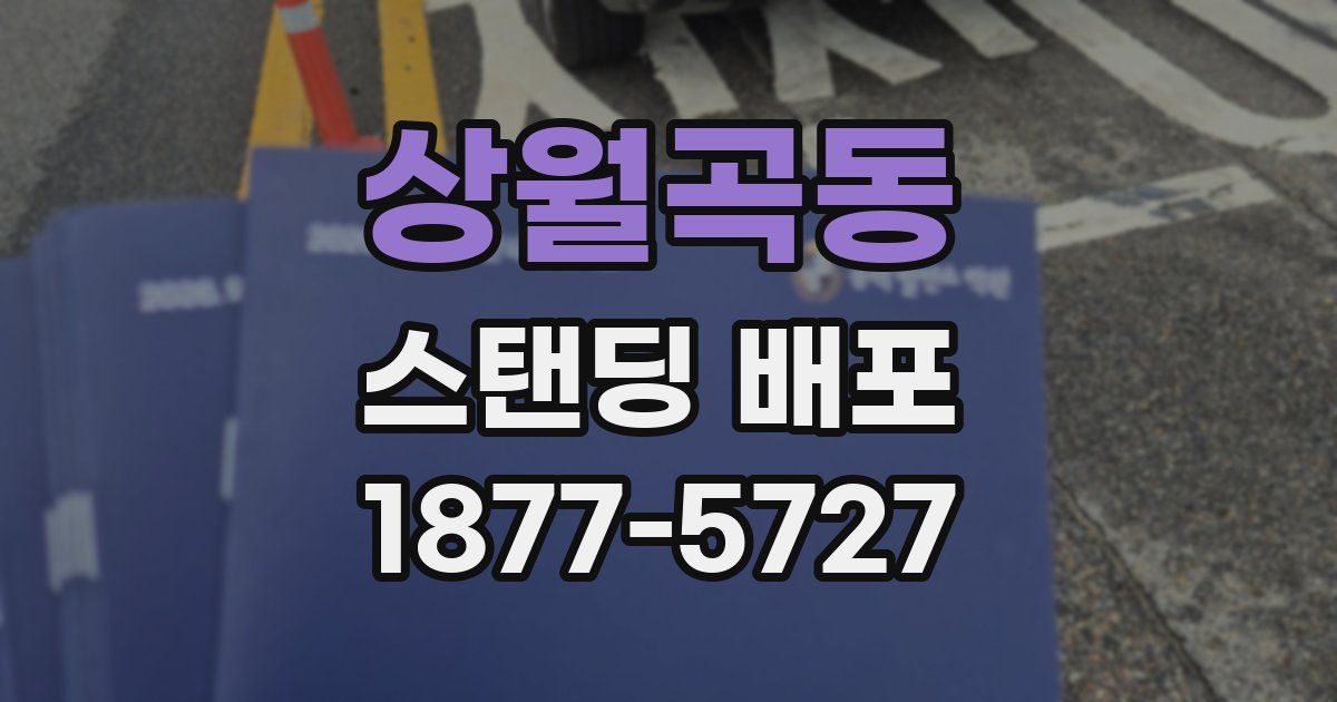 상월곡동 스탠딩 배포