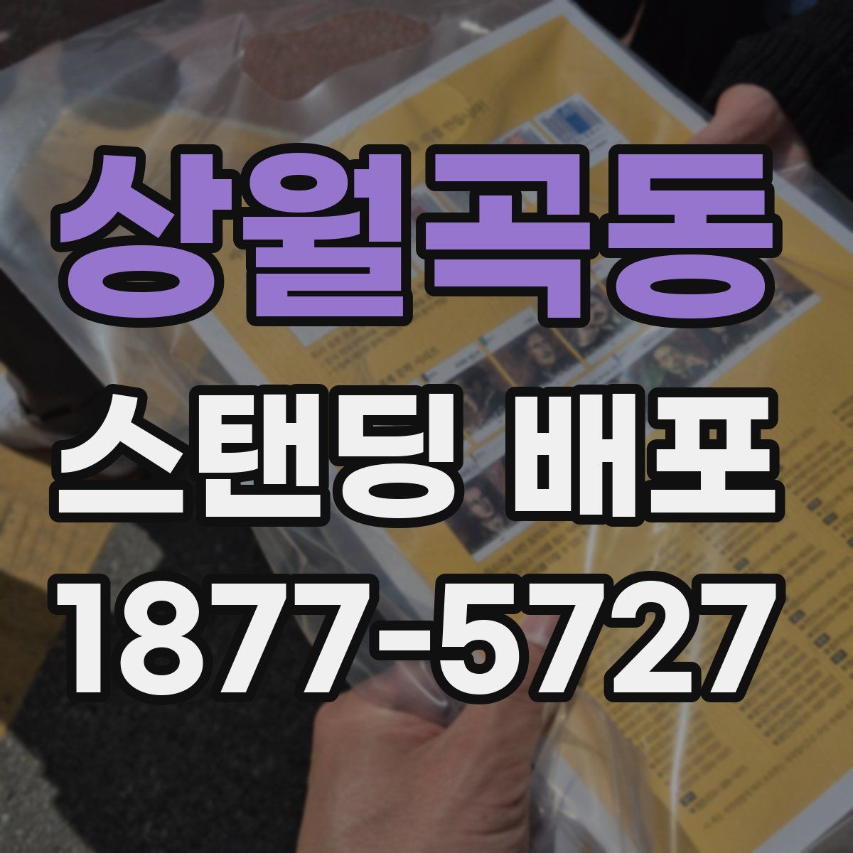 상월곡동 스탠딩 배포