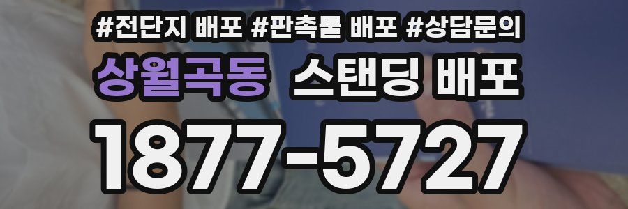 상월곡동 스탠딩 배포