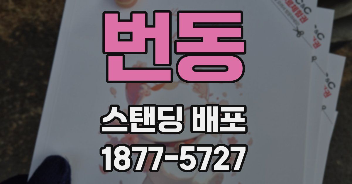 번동 스탠딩 배포
