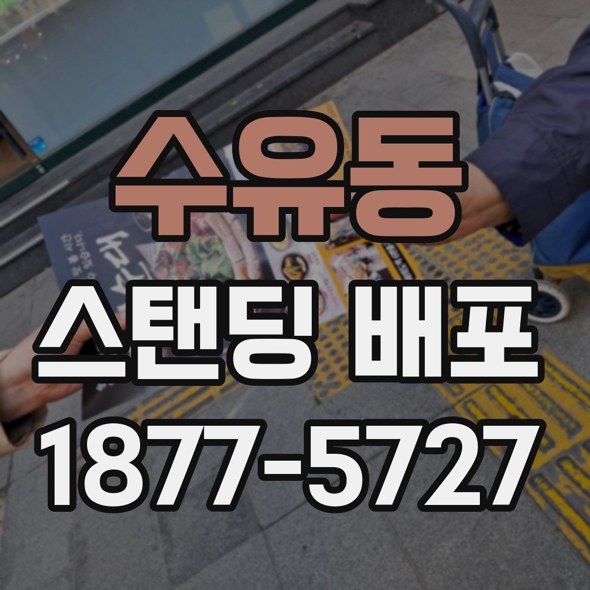 수유동 스탠딩 배포