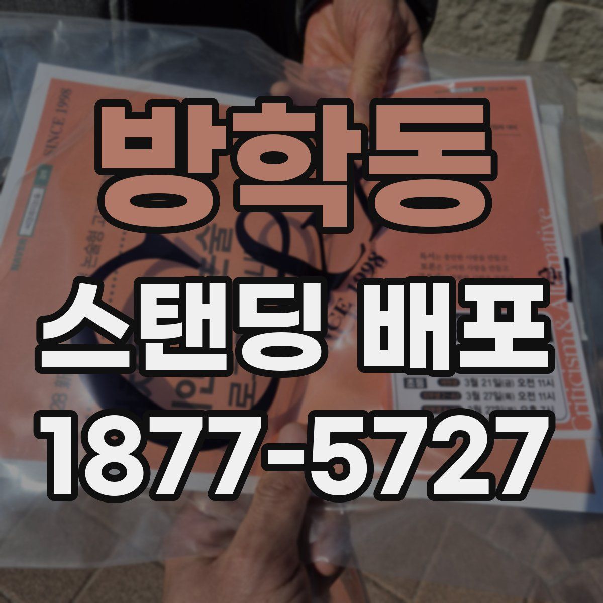 방학동 스탠딩 배포