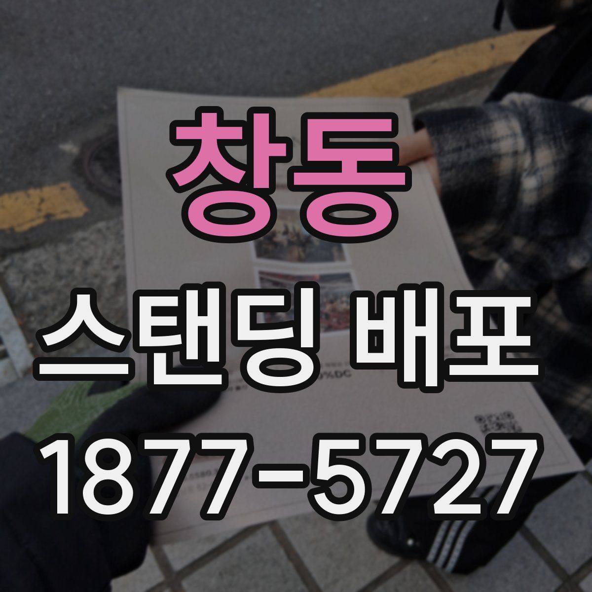 창동 스탠딩 배포