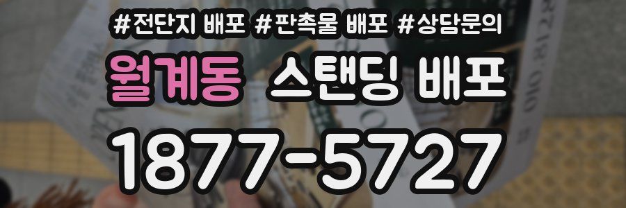 월계동 스탠딩 배포