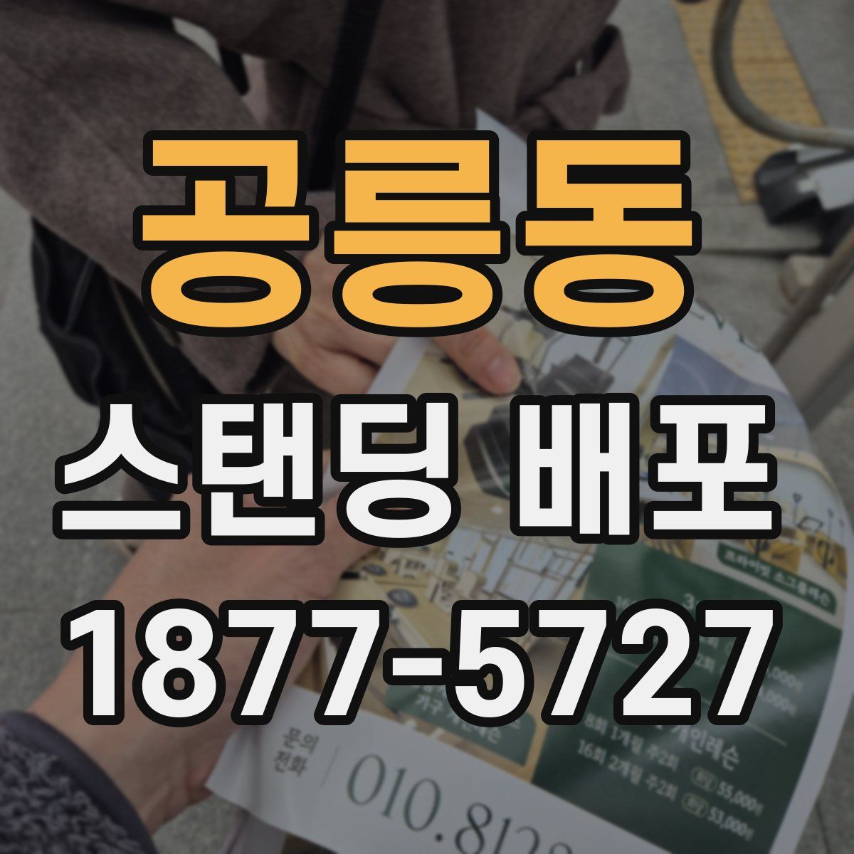 공릉동 스탠딩 배포