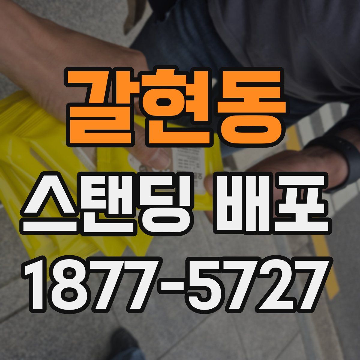 갈현동 스탠딩 배포