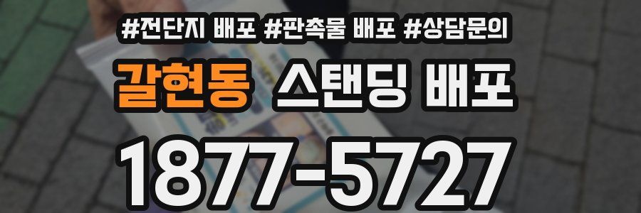 갈현동 스탠딩 배포
