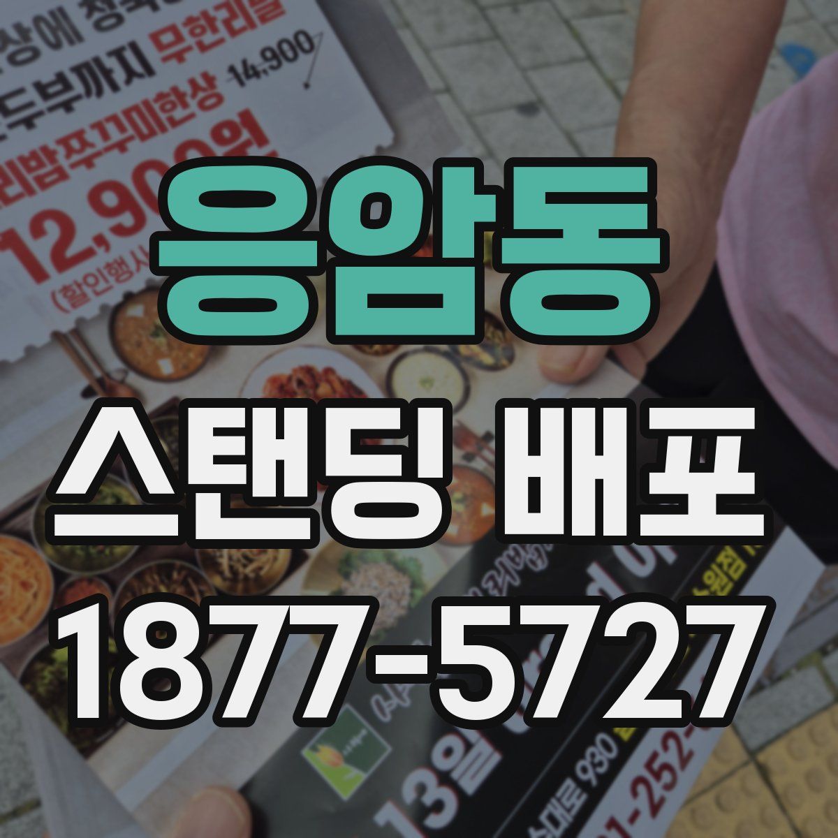 응암동 스탠딩 배포