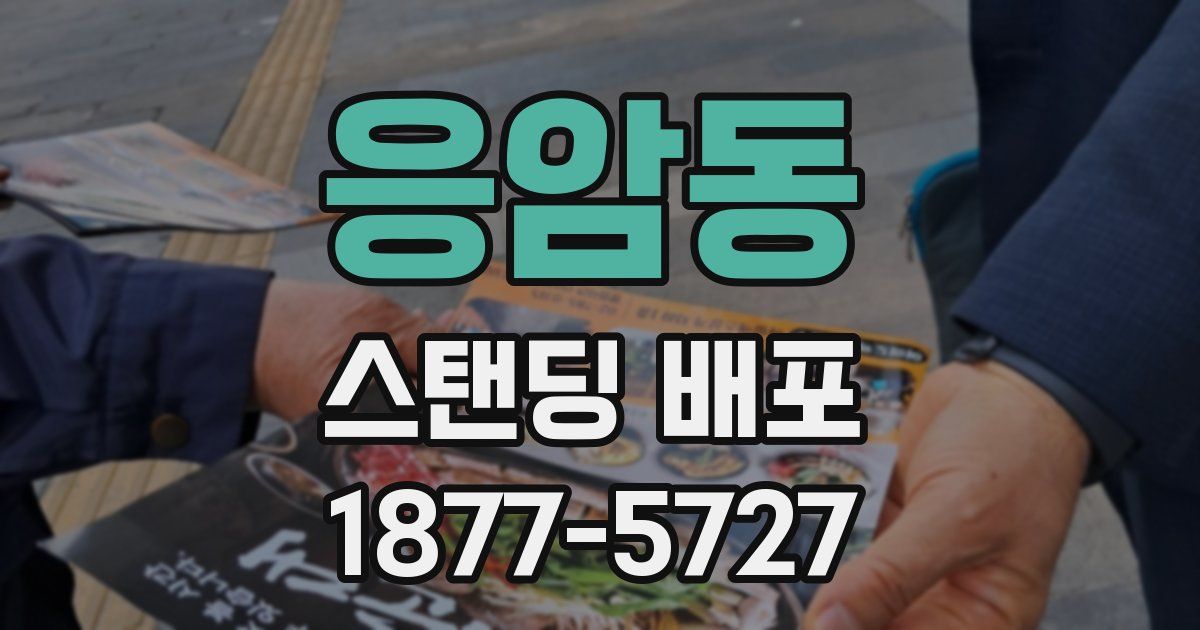 응암동 스탠딩 배포