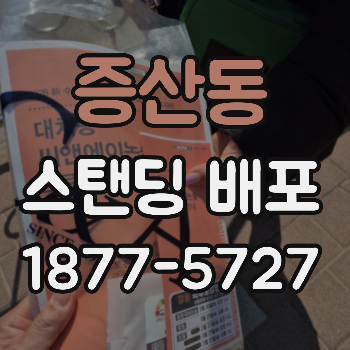 증산동 스탠딩 배포
