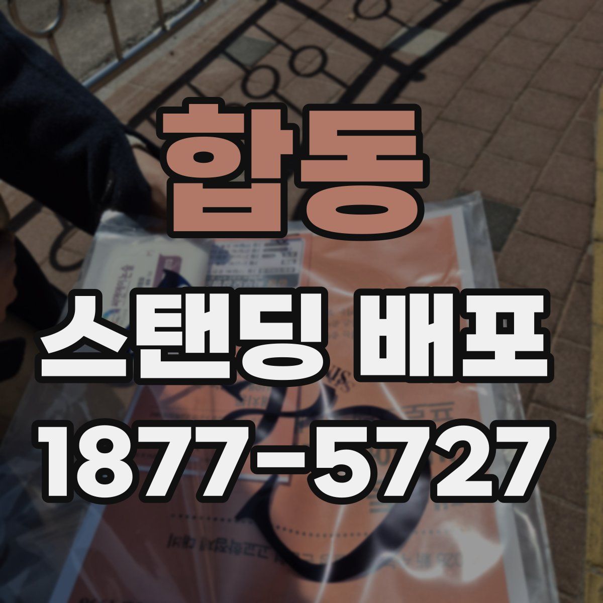 합동 스탠딩 배포