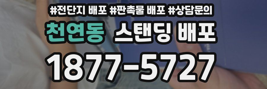 천연동 스탠딩 배포
