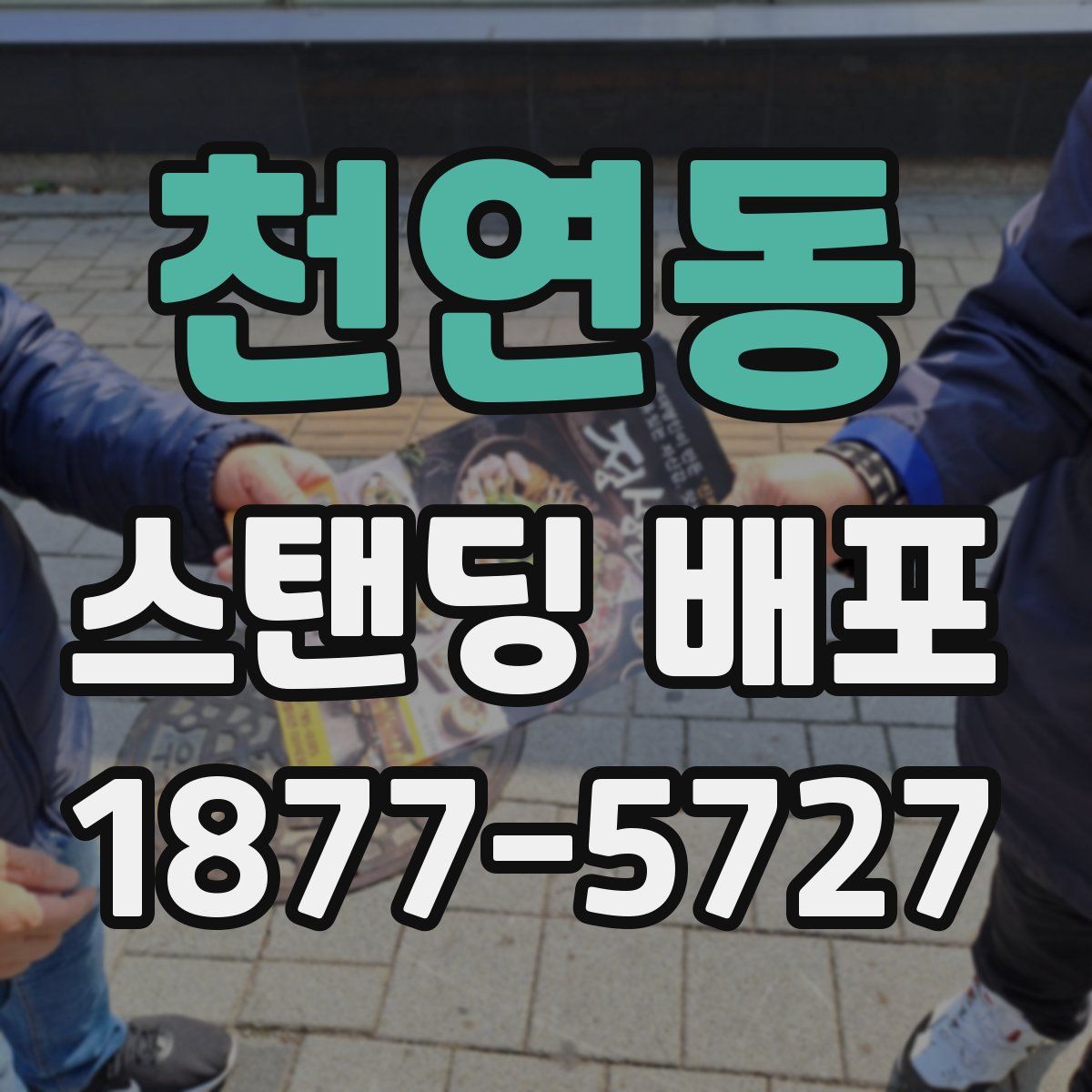 천연동 스탠딩 배포